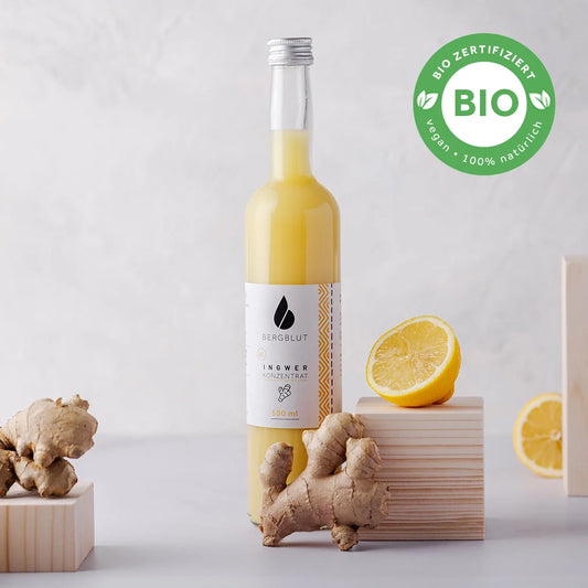 BIO Ingwerkonzentrat Klassik, 500 ml